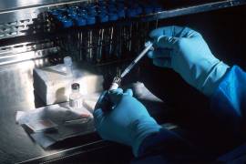 La Facultad de Ciencias Químicas de la UAdeC abrió el proceso de admisión para el Doctorado en Ciencias en Biotecnología.