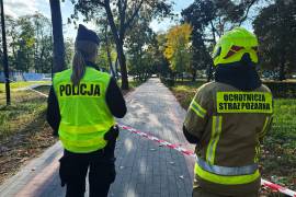 Un estudiante de 19 años hiere a ocho personas en ataque en una escuela en Polonia