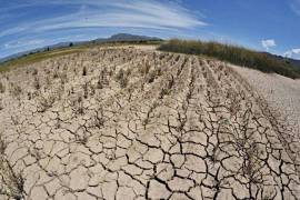 La caída en la producción de las plantas hidroeléctricas de México registrada en 2024 a causa de la sequía puso en evidencia la vulnerabilidad del sistema de generación en el País.