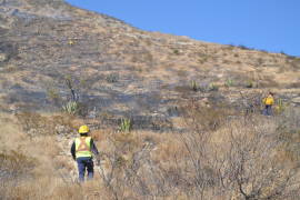 Provoca sujeto incendio en el Cerro del Pueblo