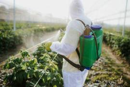 Gobierno de México saca del mercado 19 pesticidas de Bayer-Monsanto que dañan la salud; desde 2015 se debieron prohibir