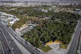 Contrastan áreas verdes de Saltillo y Ramos Arizpe en plantas tratadoras de agua