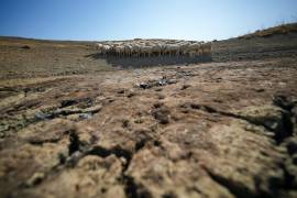 Las tierras del planeta se están secando, advierte un nuevo informe de la la Convención de las Naciones Unidas de Lucha contra la Desertificación (UNCCD).