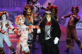 ‘Cats, el musical’ en Saltillo, de la talla de Broadway