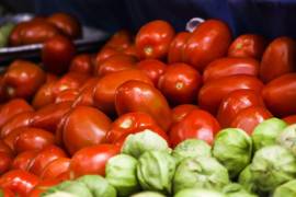 Productores piden al Gobierno frenar cualquier intento de EU por imponer bloqueos temporales durante las cosechas estadounidenses en la revisión del T-MEC.