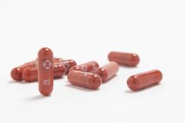 La compañía reportó que la pastilla redujo a la mitad las muertes y hospitalizaciones en pacientes con síntomas iniciales de COVID-19