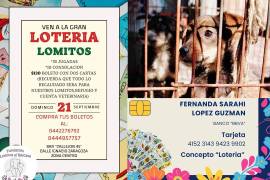 La Fundación Lomitos al Rescate necesita la ayuda de todos en su noble actividad.