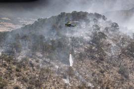 Con el apoyo de tres helicópteros, las autoridades han realizado más de 58 descargas de agua para sofocar las llamas en la sierra de Arteaga.