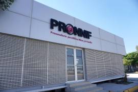 La Procuraduría para Niños, Niñas y la Familia (Pronnif) en Torreón informó que mantiene activos de manera permanente sus protocolos de atención para la protección de los derechos de niñas, niños y adolescentes.