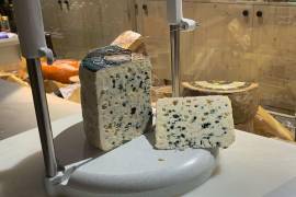 El emblemático roquefort cumple un siglo. Este producto artesanal fabricado únicamente en una parte de la región meridional de Occitania y afinado en unas bodegas de la localidad de Roquefort-sur-Soulzon.