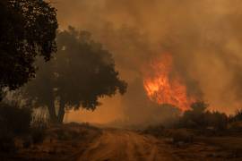Hidalgo enfrenta una temporada crítica de incendios forestales durante 2026.