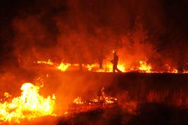Bomberos utilizan quemas controladas para detener un incendio que sigue expandiéndose cerca de Cebreros, Ávila, España, el martes 28 de julio de 2026.