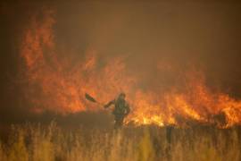 El incendio que se inició en la Sierra de la Culebra de Zamora ha obligado a evacuar al menos 10 pueblos, aunque el descenso de las temperaturas durante la noche ha facilitado un poco las labores.