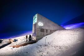 La Bóveda Global de Semillas de Svalbard es un depósito subterráneo que alberga más de 1.3 millones de semillas de cultivo de 6.300 especies de todo el mundo para salvaguardar la biodiversidad y la alimentación.