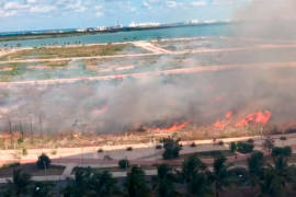 Incendio destruye parte del manglar Tajamar; fue provocado, acusan