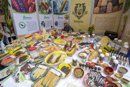 Familias disfrutan de actividades recreativas y académicas en los pabellones.