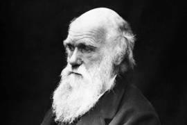 Se cumplieron 157 años de la teoría de la evolución de Darwin