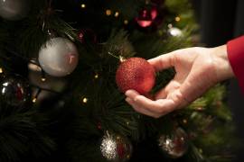 La Navidad y Año Nuevo ha pasado, aunque sólo nos queda el Día de Reyes Magos, muchas familias ya están perdiendo el espíritu navideño y dando vuelta a la página.