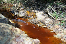 Nuevo derrame tóxico en presa de Coahuila; culpan a minera y Profepa sigue sin responder