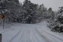 El nuevo frente frío y su masa de aire frío traerán temperaturas de hasta -10 grados en la República Mexicana.