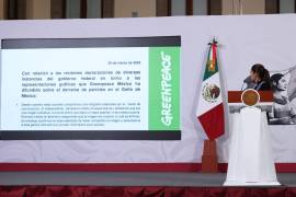 La Presidenta reconoció a Greenpeace por desmarcarse de una imagen que, señaló, fue difundida como si el Golfo de México enfrentara una “catástrofe terrible”.