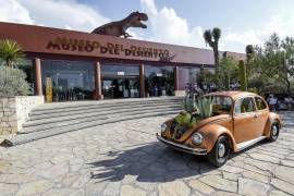 La nueva atracción del Museo del Desierto se llamará “Lo que no se ve” y está prevista para finales de noviembre.