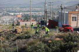 Brigadas municipales realizaron trabajos de limpieza y mantenimiento en el arroyo Loma Linda.