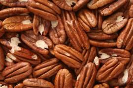 De acuerdo con reportes extraoficiales, se dejaron de producir más de 6 mil toneladas de nuez y afectará a varias regiones de Coahuila.