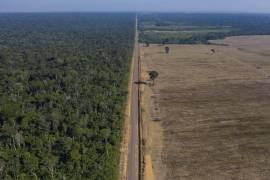 Datos divulgados por el Instituto Nacional de Pesquisas Espaciales señalan que la Amazonia brasileña perdió 877 kilómetros cuadrados de selva en octubre, 5 por ciento más que en 2020 y un nuevo récord para el mes.