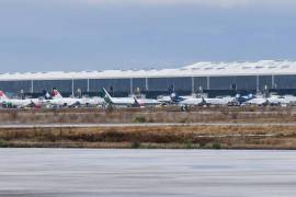 Volaris recibió 14 aviones nuevos para sumarlos a su flota en 2024, la cual se integra actualmente por 143 aeronaves, siendo una de las más modernas y eficientes de la región. FOTO: