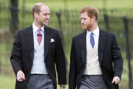 'Bienvenido al club de privación del sueño que es la paternidad': William al Príncipe Harry