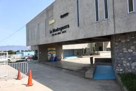 Saltillo: avistamiento de serpiente activa vigilancia y labores de limpieza en La Madriguera