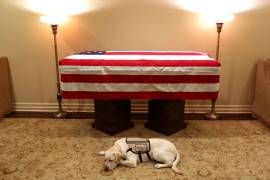 Sully, el perro del expresidente George H. W. Bush se despide de su amo (Fotogalería)