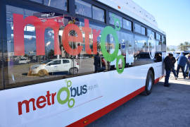 Paran obra del Metrobús para analizar vestigios