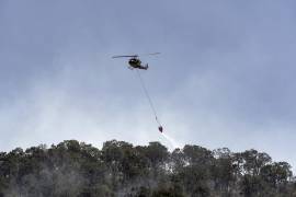 Las autoridades esperan que este lunes quede liquidado al 100 por ciento el fuego en Arteaga.