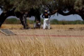 Los hallazgos de restos en fosas clandestinas se concentran principalmente en la Región Laguna.