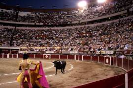 Empresarios y tabajadores logran frenar dictamen que prohíbe corridas de toros en la CDMX