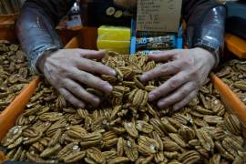 Productores coahuilenses podrían resentir una mayor oferta de nuez en el mercado nacional si parte de la cosecha mexicana que se destinaba a China permanece en el país.