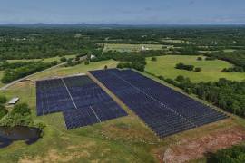 Paneles solares en funcionamiento en una granja con ganado el martes 28 de abril de 2026, en Christiana, Tennessee.