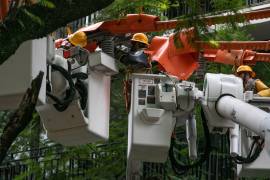 La Comisión Federal de Electricidad destacó las ganancias obtenidas en este primer semestre, aunque sin resaltar que tuvo un amplio apoyo con subsidios.