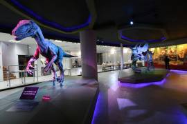 Los investigadores responsables del descubrimiento darán más información sobre esta nueva especie.