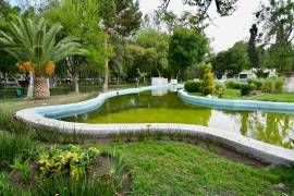 En el lugar se detectaron restos de ramas y lama en distintas zonas del lago.