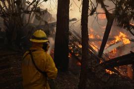 El presidente electo de Estados Unidos, Donald Trump, culpó este miércoles al gobernador de California, el demócrata Gavin Newsom, de la devastación causada por los incendios de Los Ángeles.