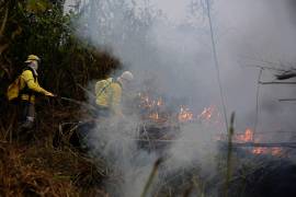 Bomberos brasileños combaten el fuego en una Amazonia cubierta de humo