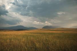 El cambio climático incrementa las presiones sobre estos ecosistemas, mediante sequías prolongadas y lluvias torrenciales.