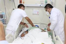 Especialistas en salud recordaron que el contacto con mascotas expuestas al exterior y la presencia de garrapatas en viviendas son factores de riesgo que deben notificarse al personal médico durante una consulta.