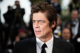 No Sudden Move, nueva película de HBO Max reúne a Benicio del Toro y Steven Soderbergh