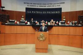 El senador Gabriel Elizondo Pérez presentó ante el Pleno las primeras iniciativas de una agenda legislativa integrada por 17 propuestas.