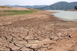 Gran parte de Coahuila ha presentado algún grado de sequía, sin embargo, en La Laguna, la principal cuenca lechera del país, no ha tenido afectaciones.