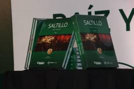 El proyecto fue coordinado en un inicio por el historiador Javier Villarreal Lozano, ya fallecido, y contó con la participación de especialistas.